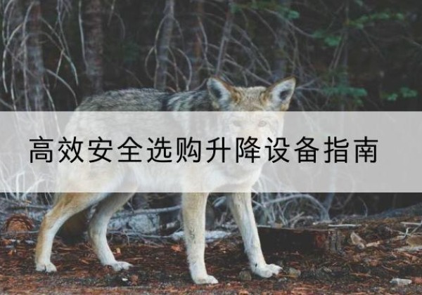 城关升降货梯厂家推荐-*安全选购升降设备指南